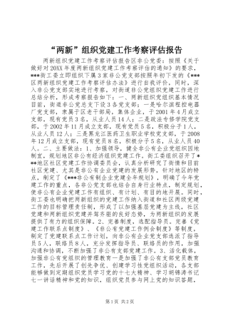 “两新”组织党建工作考察评估报告