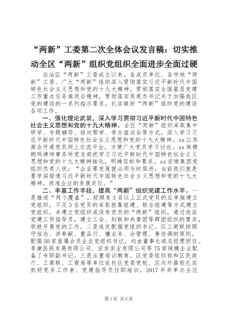 “两新”工委第二次全体会议发言稿：切实推动全区“两新”组织党组织全面进步全面过硬