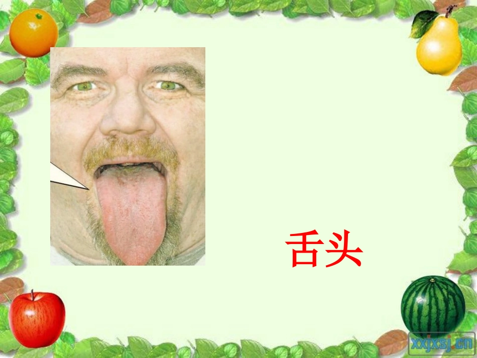 画味觉画嗅觉_第2页