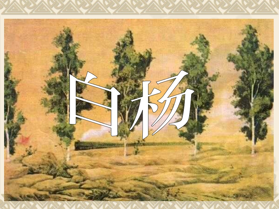 五下《3白杨》PPT课件_第1页