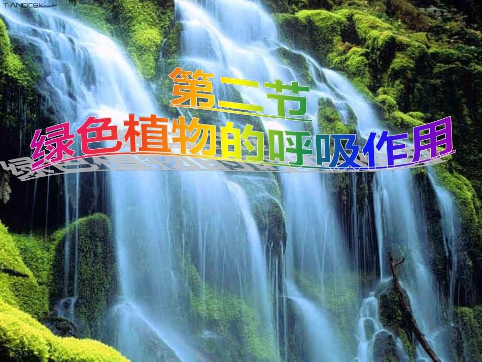 绿色植物的呼吸作用_第1页