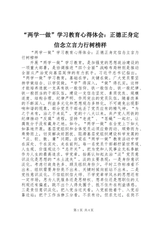 “两学一做”学习教育心得体会：正德正身定信念立言力行树榜样