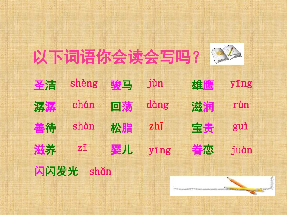 、这片土地是神圣的_第2页