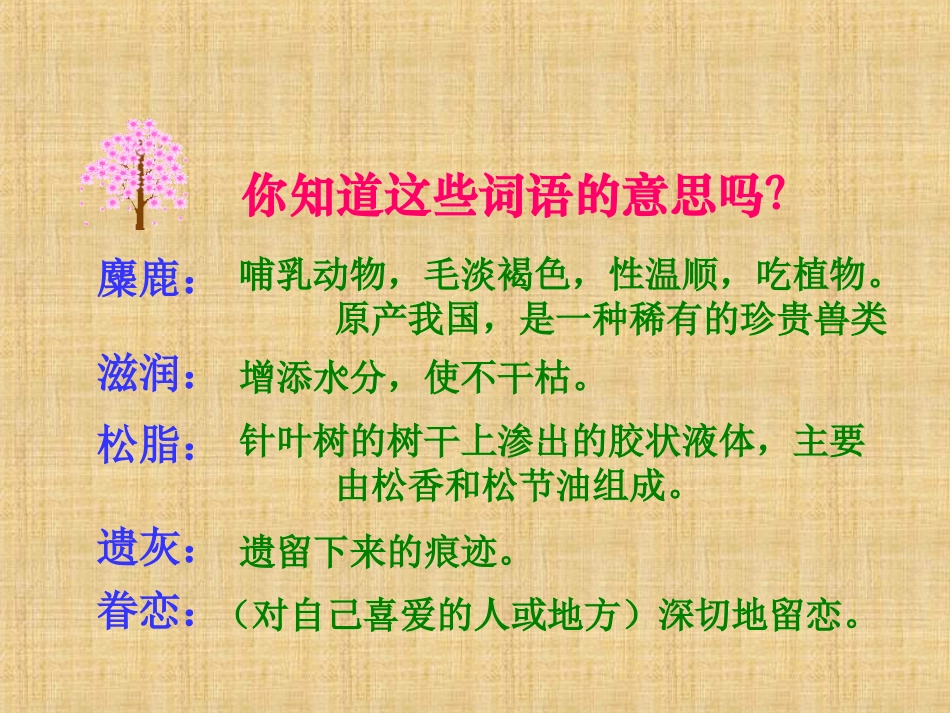 、这片土地是神圣的_第3页