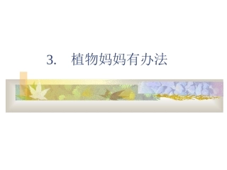 植物妈妈有办法课件 (2)