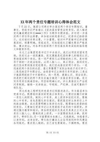 XX年两个责任专题培训心得体会范文
