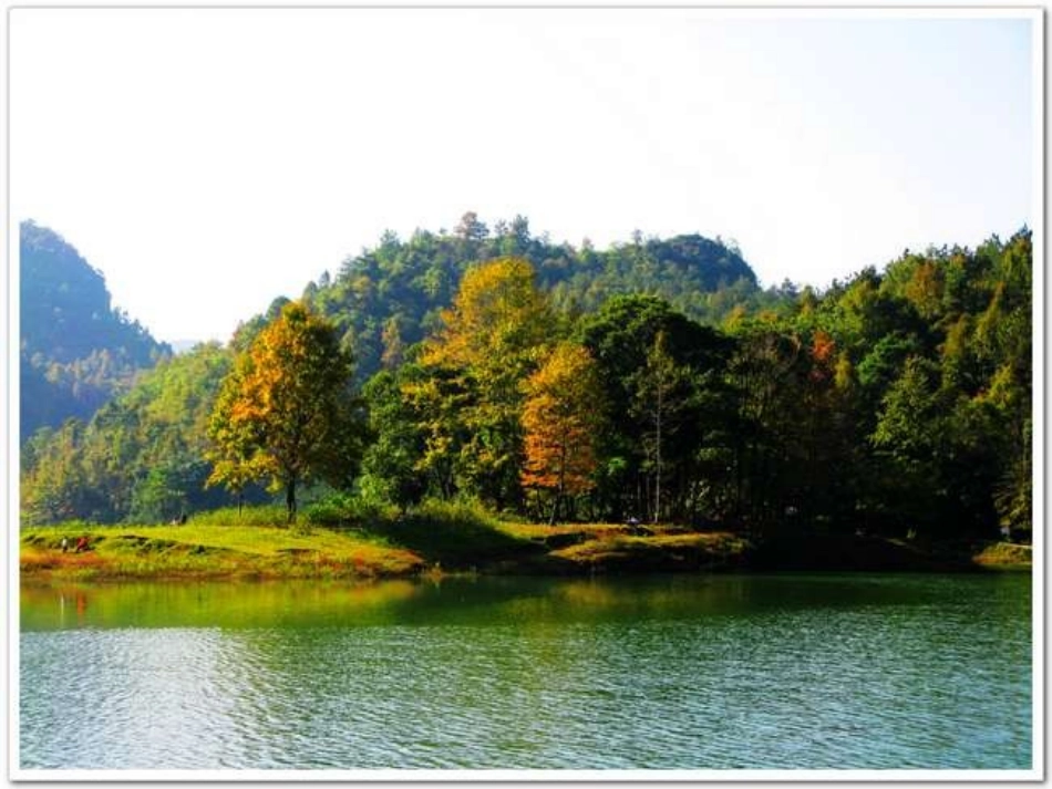 二年级语文《父亲和鸟》课件_第2页