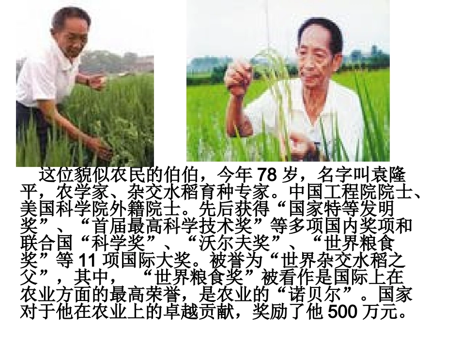 百分数认识课件(7)(1)(3)_第3页