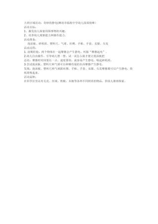 大班区域活动：奇妙的静电