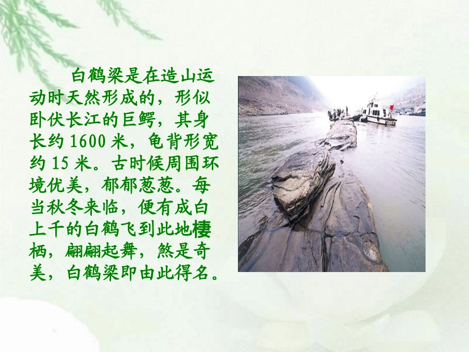 《白鹤梁的沉浮》01_第3页