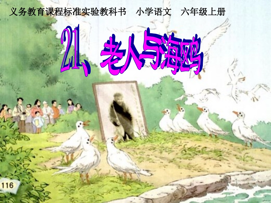 老人与海鸥李娟_第1页