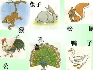 《比尾巴》第一课时课件