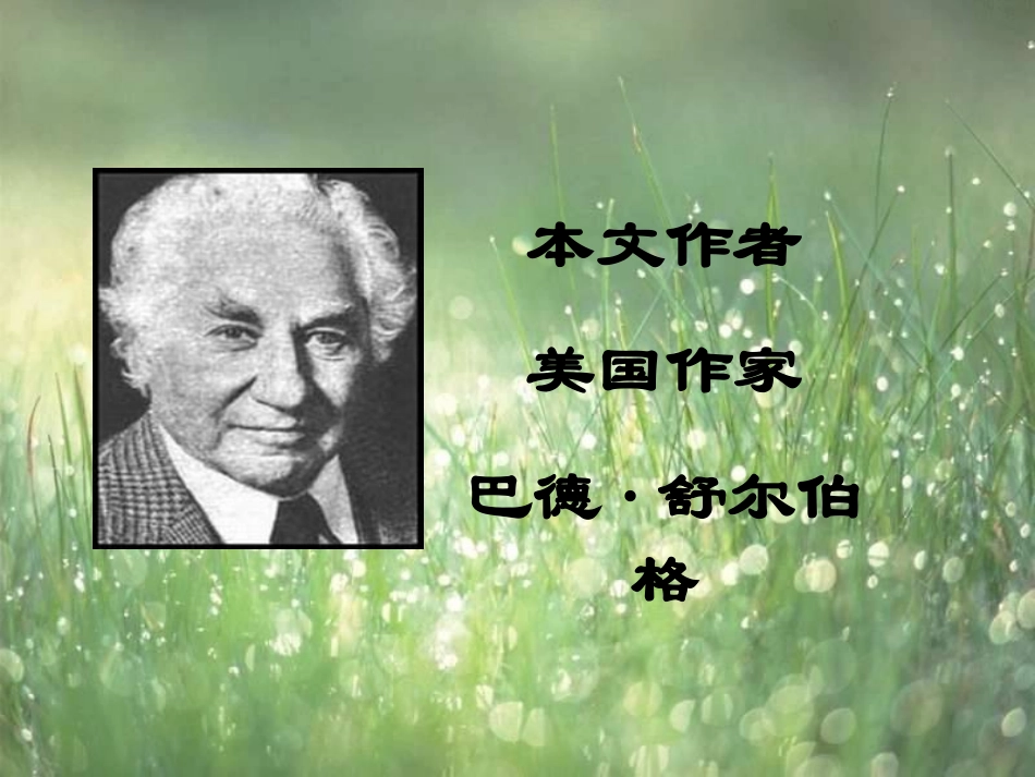 《精彩极了和糟糕透了》课件_第2页