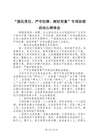 “强化责任、严守纪律、树好形象”专项治理活动心得体会