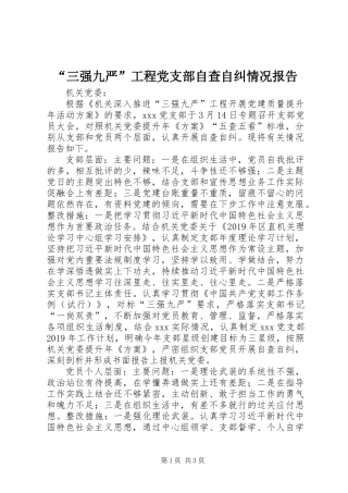 “三强九严”工程党支部自查自纠情况报告