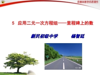 北师大版_55应用二元一次方程组——里程碑上的数----杨智廷