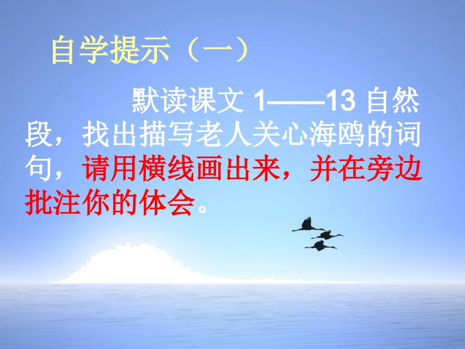 老人与海鸥第二课时_第3页