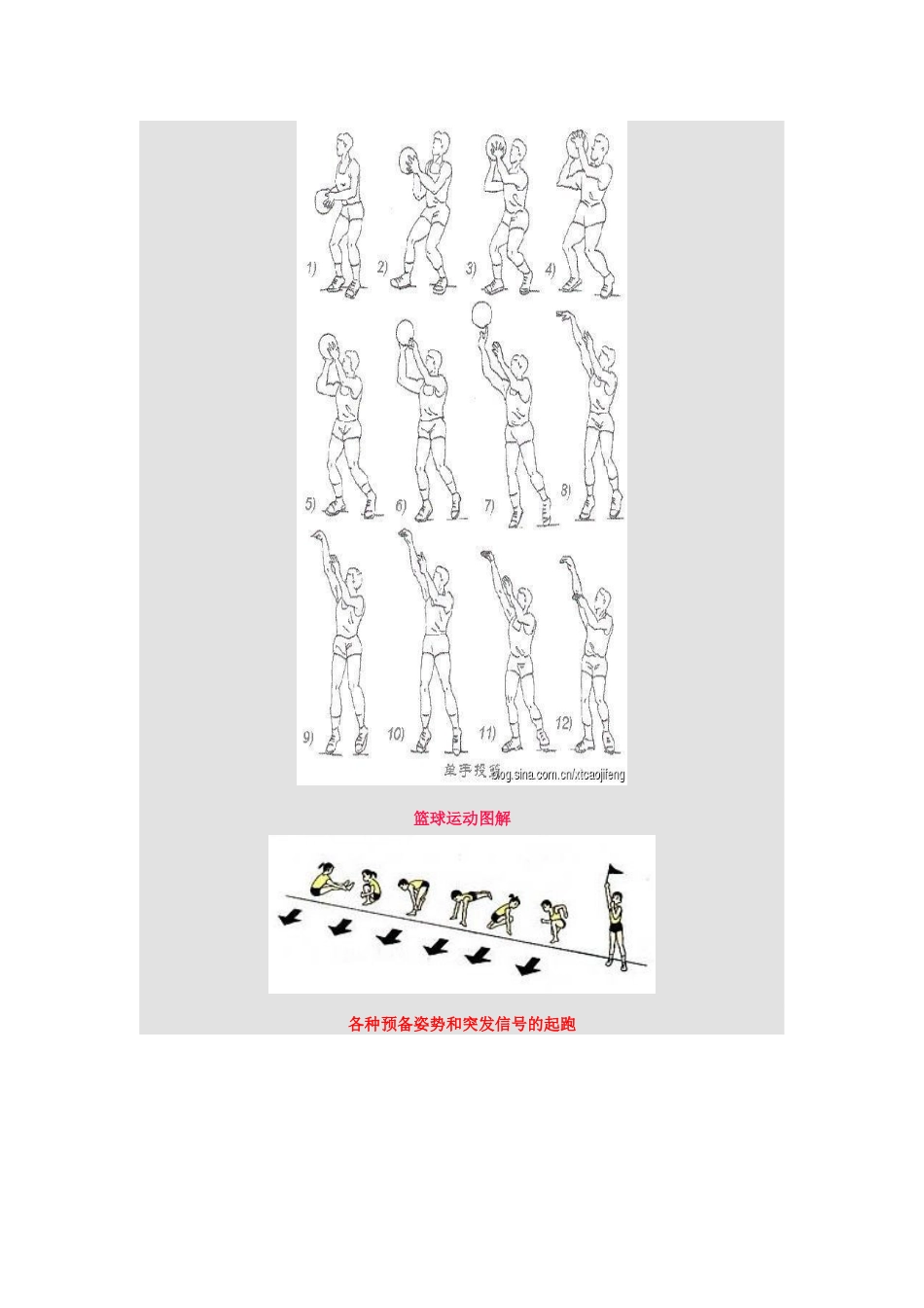 体育教学挂图和动作图解_第3页