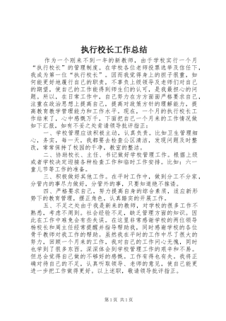 执行校长工作总结