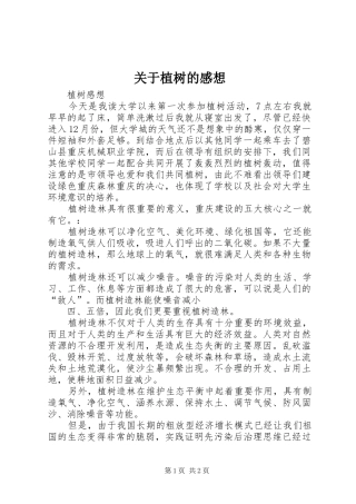 关于植树的感想