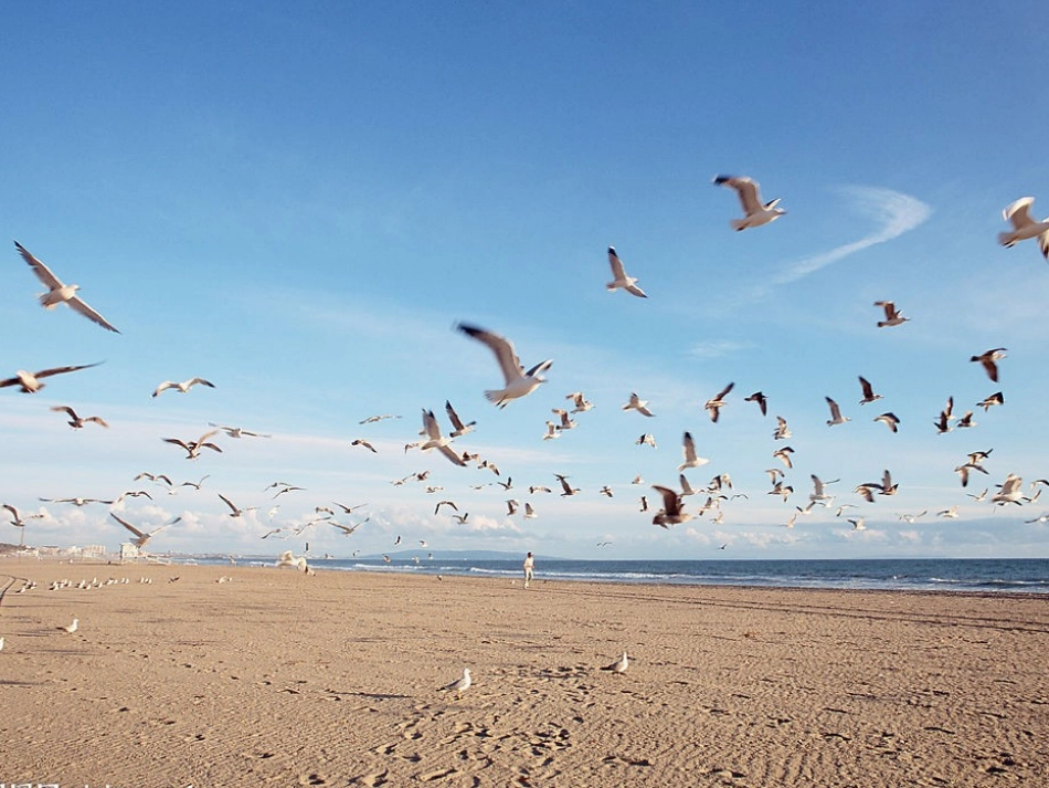大海睡了修改后_第2页