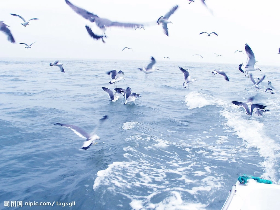 大海睡了修改后_第3页