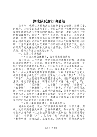 执法队反腐行动总结