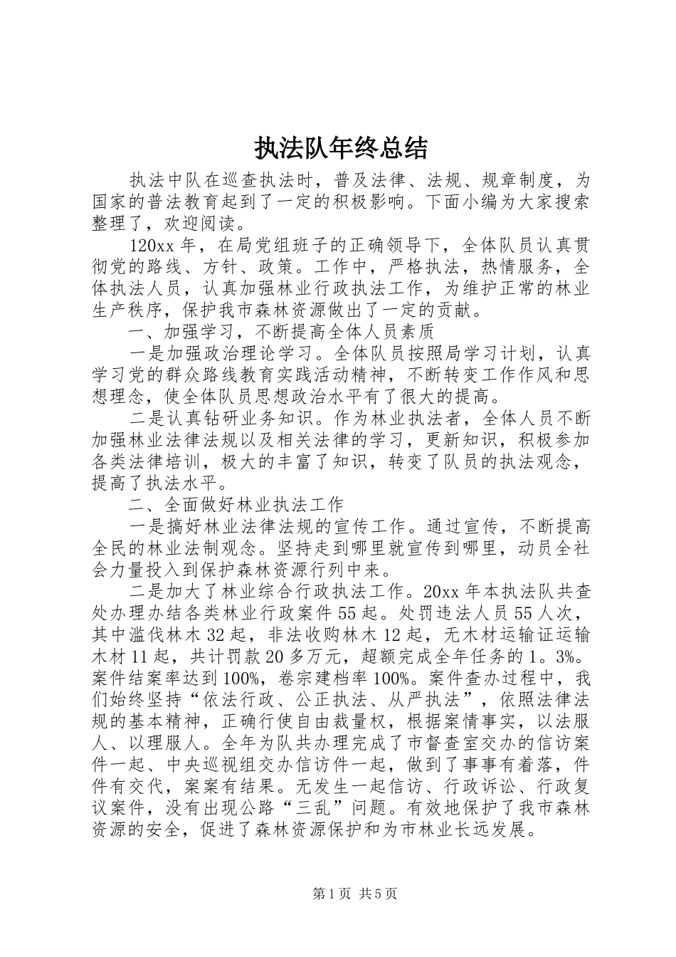 执法队年终总结_第1页