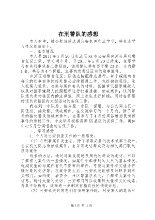 在刑警队的感想