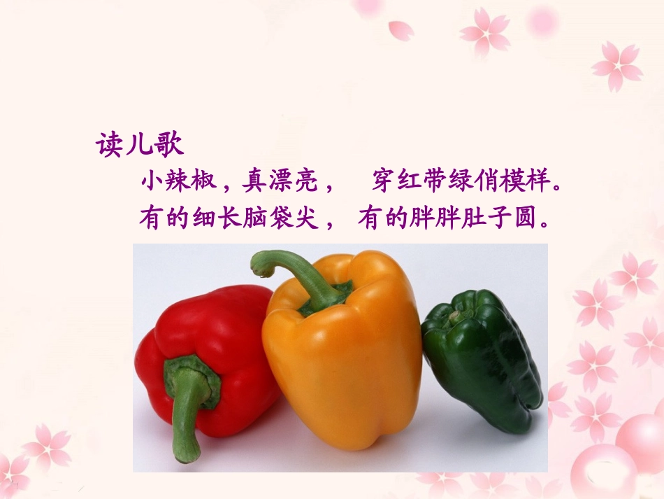 《菜园里》教学课件 (2)_第1页