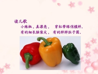 《菜园里》教学课件 (2)