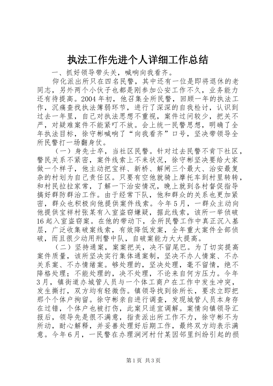 执法工作先进个人详细工作总结_第1页