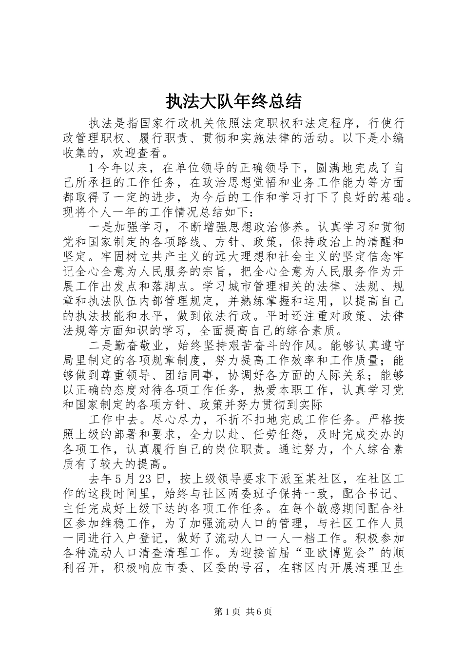 执法大队年终总结_第1页