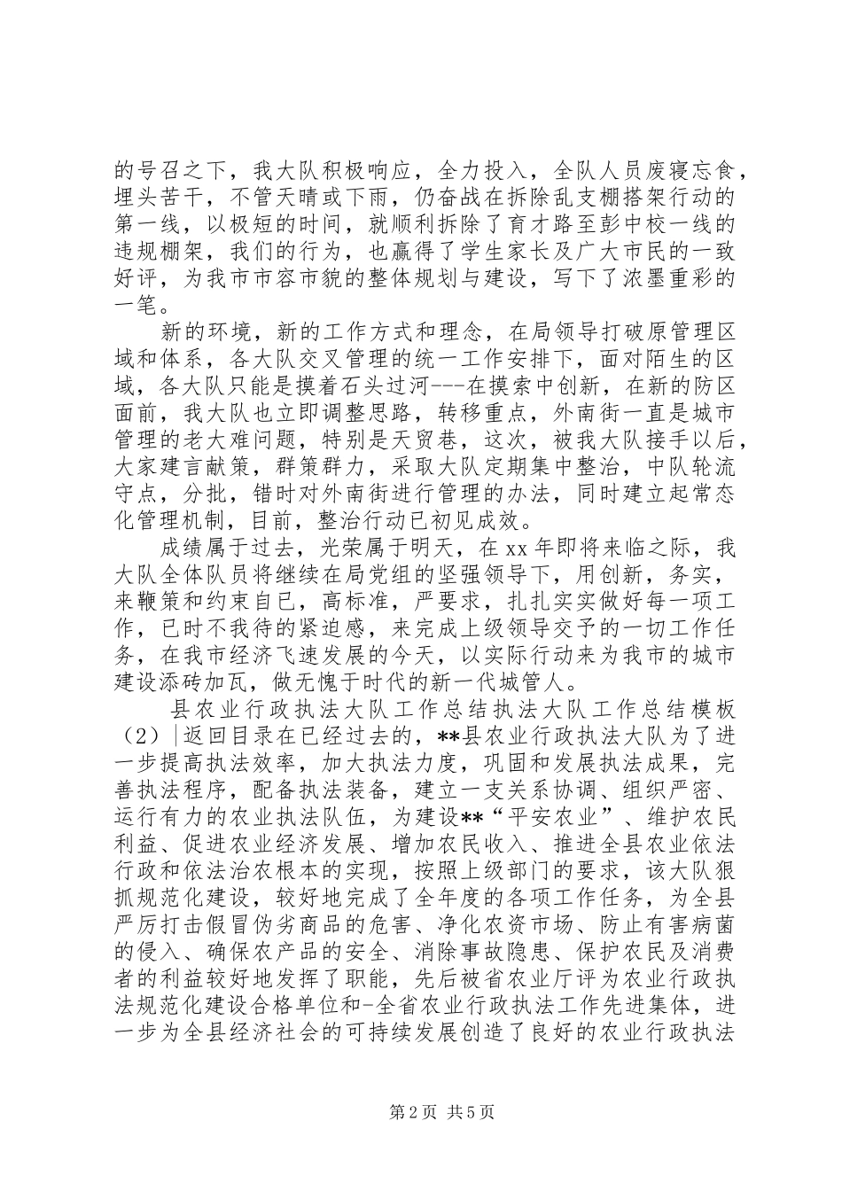 执法大队工作总结模板4篇_第2页