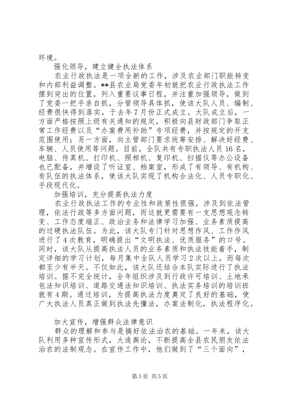 执法大队工作总结模板4篇_第3页