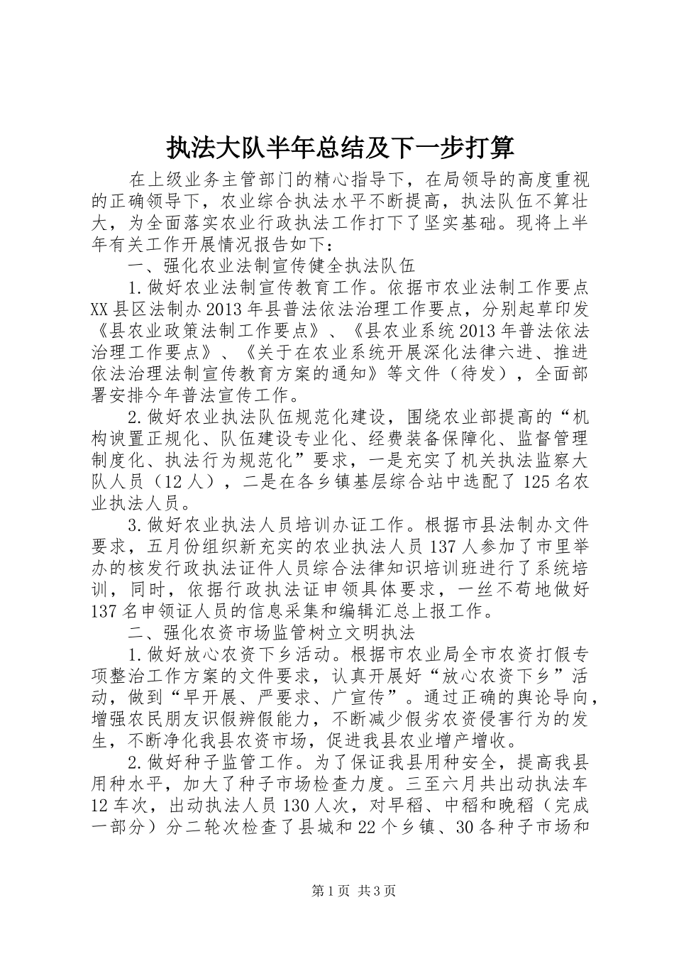 执法大队半年总结及下一步打算_第1页