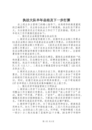 执法大队半年总结及下一步打算