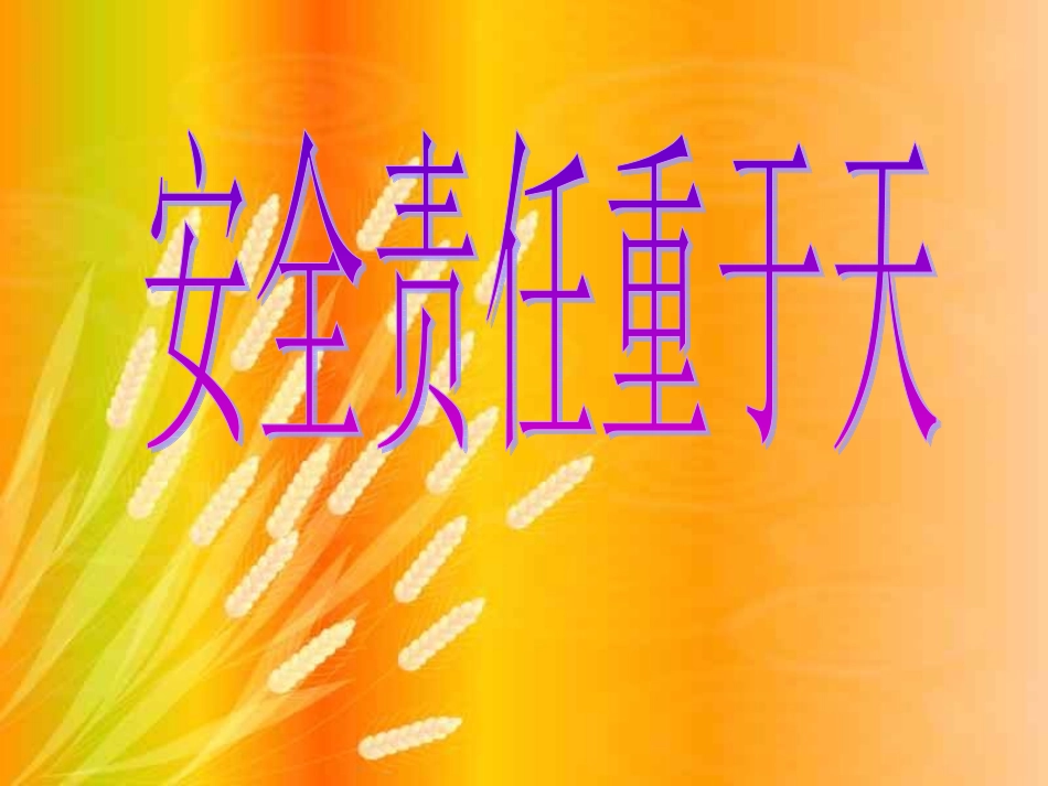 三三班家长会_第3页