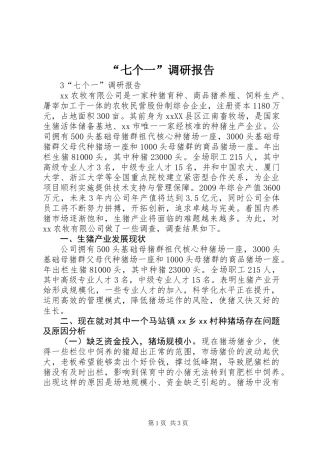 “七个一”调研报告