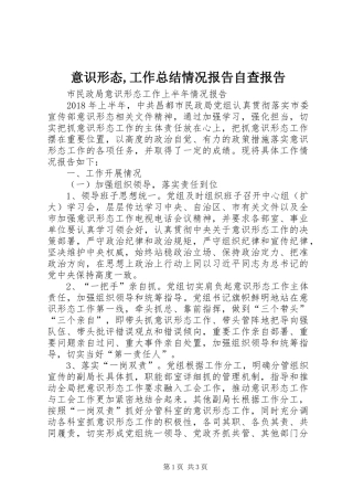 意识形态,工作总结情况报告自查报告_3