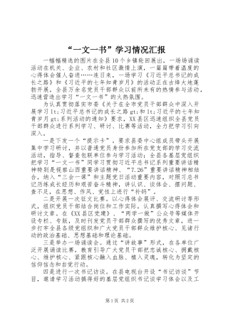 “一文一书”学习情况汇报