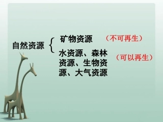 《只有一个地球》