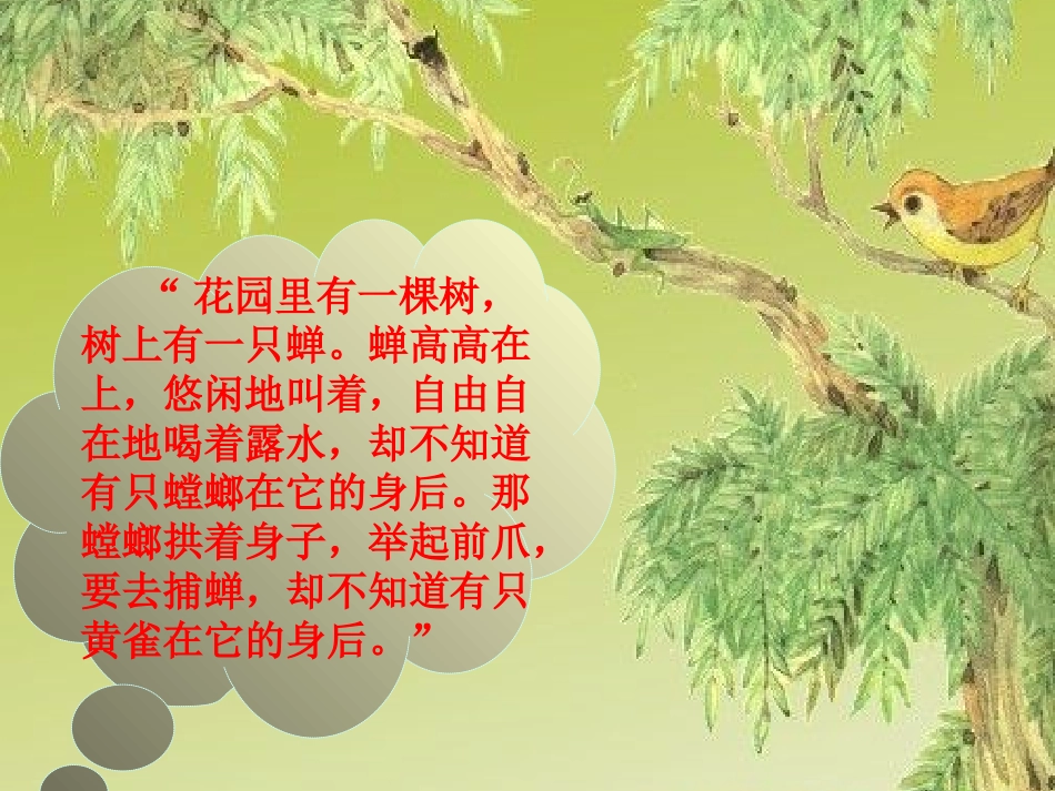 《螳螂捕蝉》教学课件_第3页