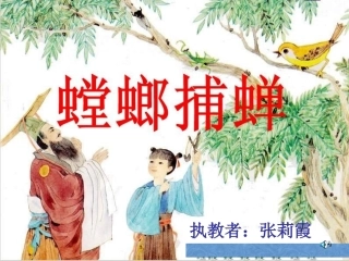 《螳螂捕蝉》教学课件