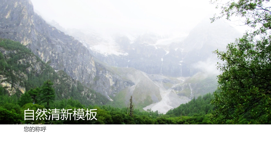 自然清新模板_第1页