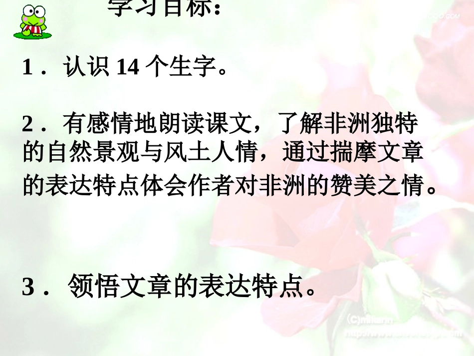 《彩色的非洲》课件[1]_第2页