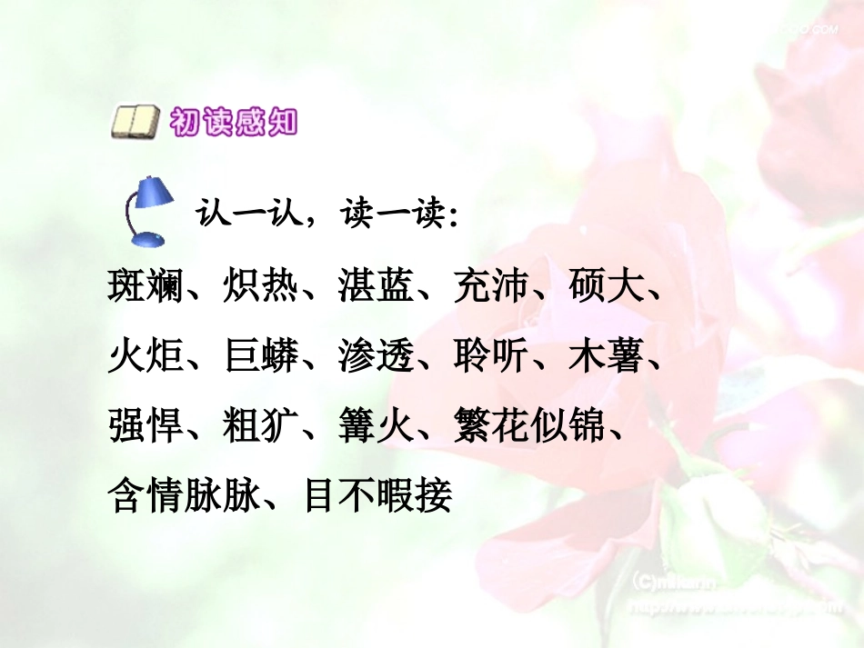 《彩色的非洲》课件[1]_第3页