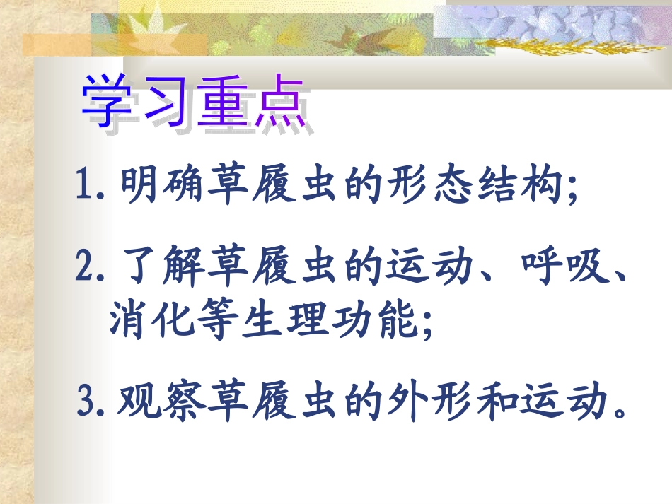 只有一个细胞的生物体_第2页