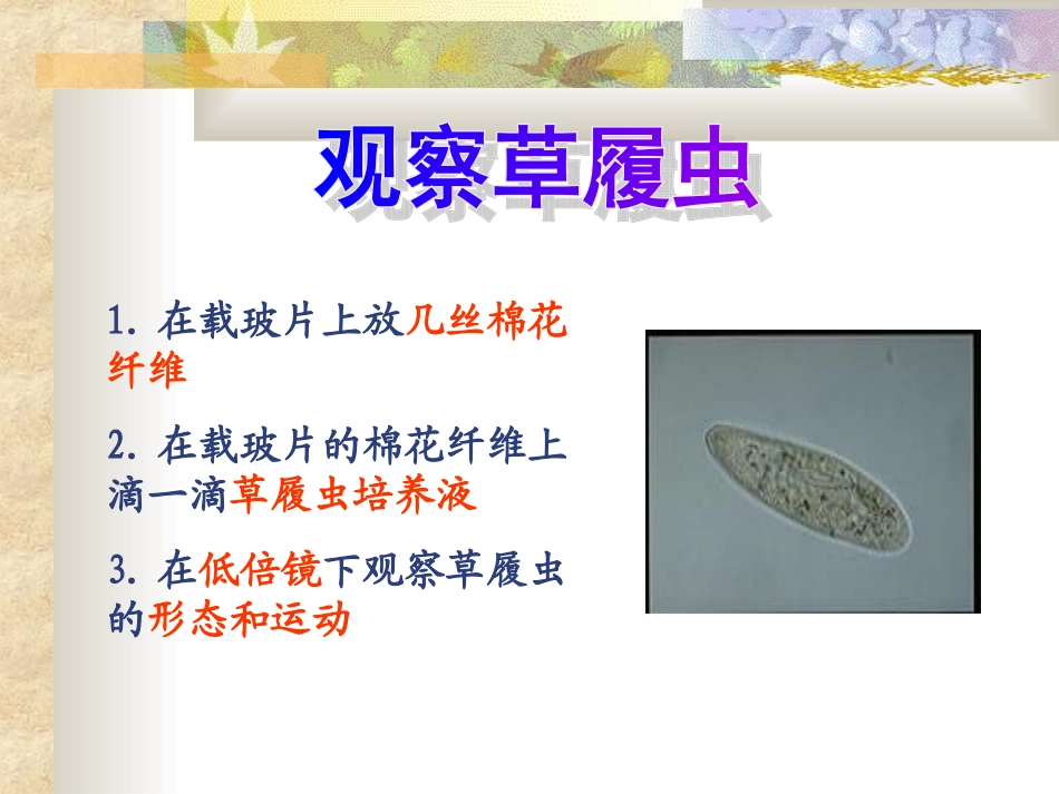 只有一个细胞的生物体_第3页