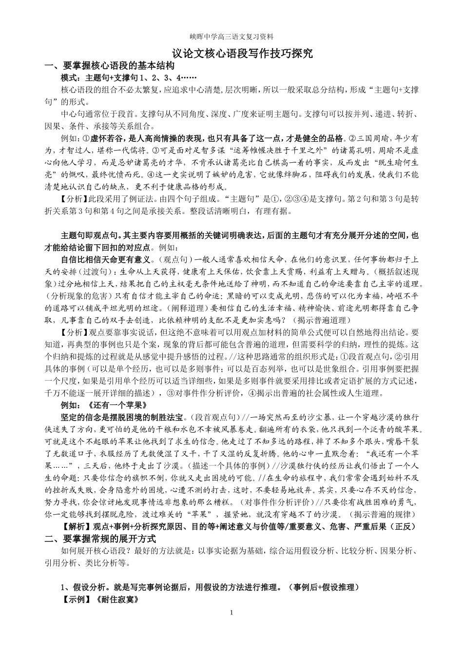 议论文核心语段写作技巧探究_第1页